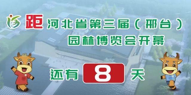 成功案例 第708页