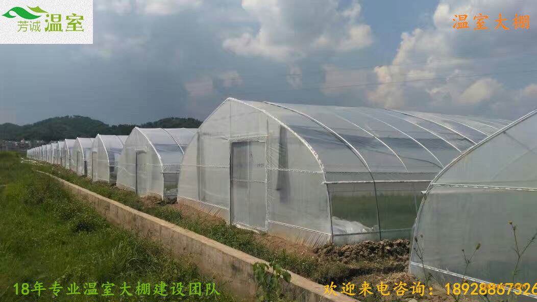 星星打烊 第79页