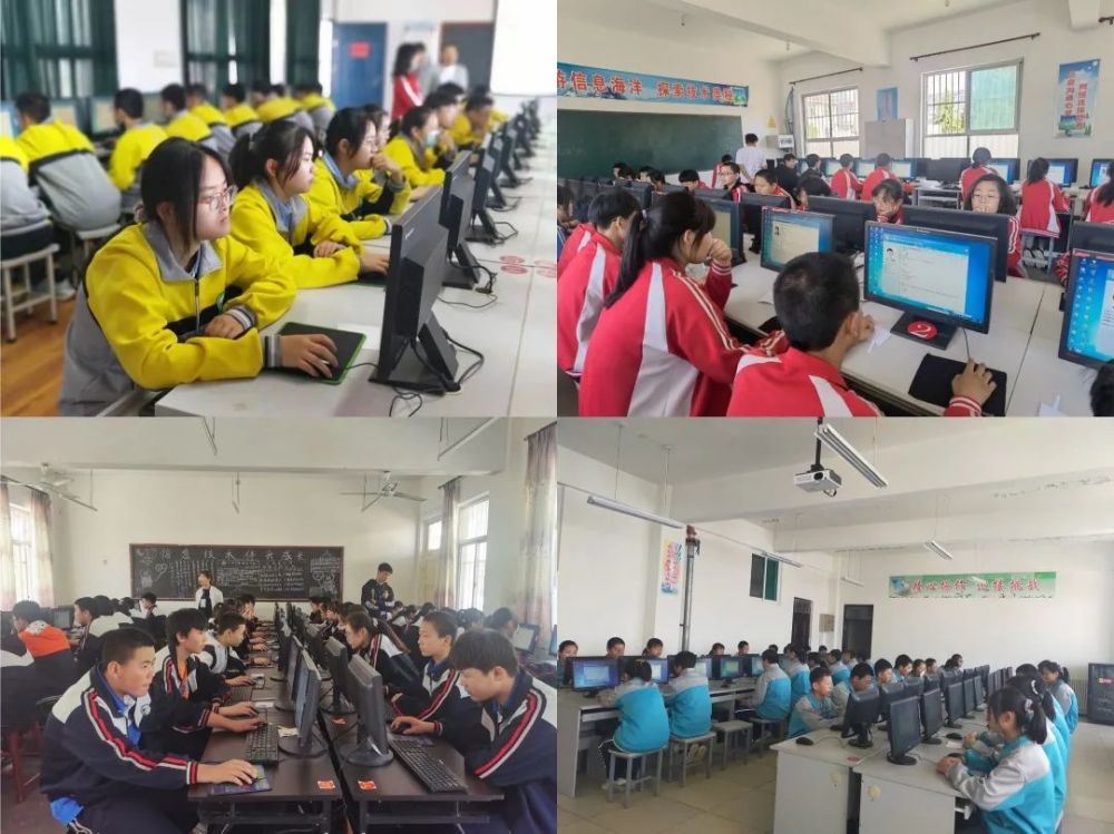 11月5日最新版老师手把手教你完成学习任务的详细指南