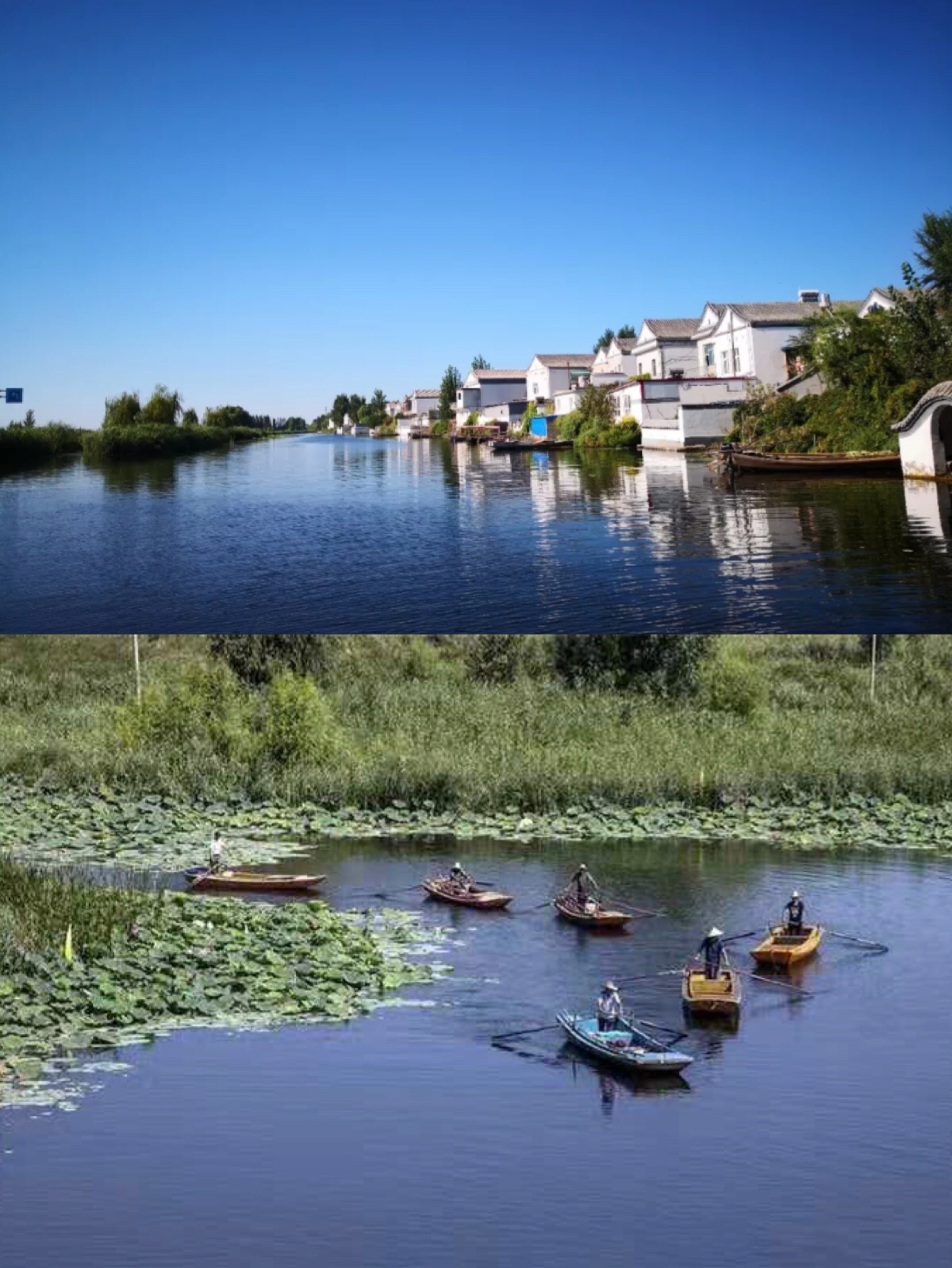 苏州探秘,自然美景治愈之旅的新启程之旅(最新劝返信息)