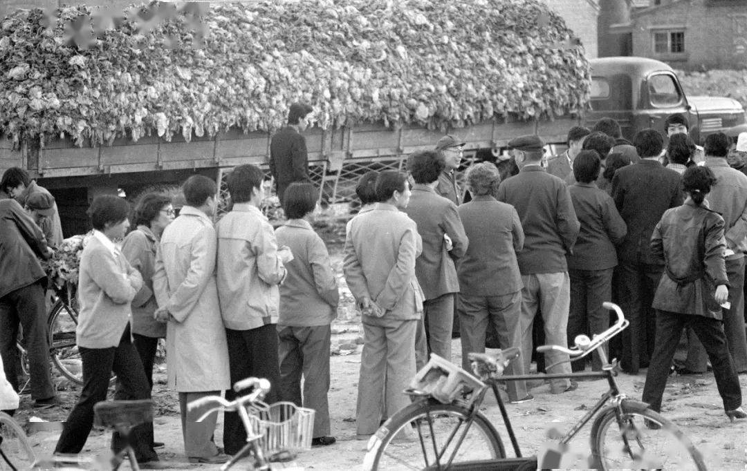 历史上的11月10日,德国队阵容探索自然美景的内心平和之旅