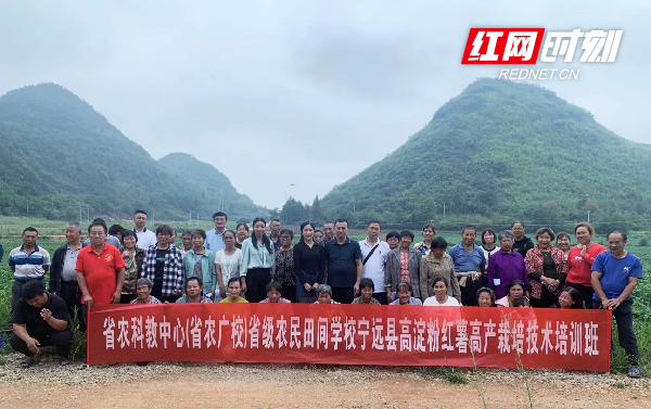 花开无言 第28页