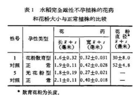 关于我们 第541页