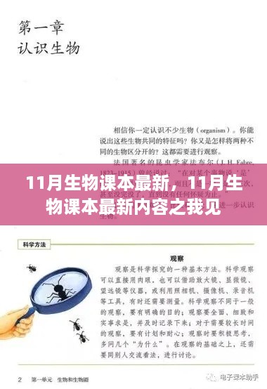 nangyingyingxue 第8页