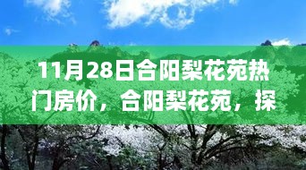关于我们 第377页