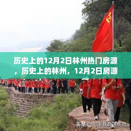 jinshiweikai 第7页