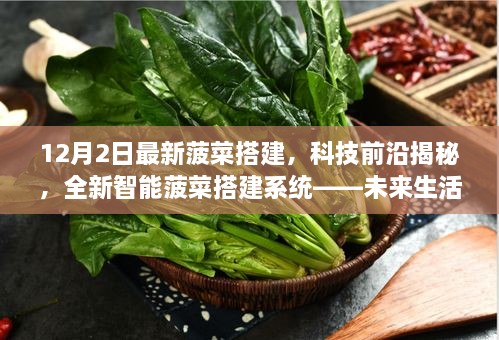 huanfeiyanshou 第7页