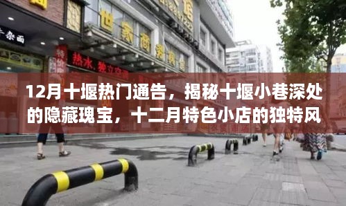yibuzhongcai 第7页