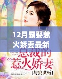 成功案例 第339页