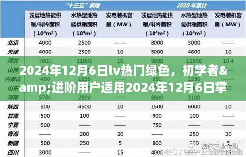 掌握LV热门绿色搭配与选购技巧的全面指南（初学者与进阶用户适用）