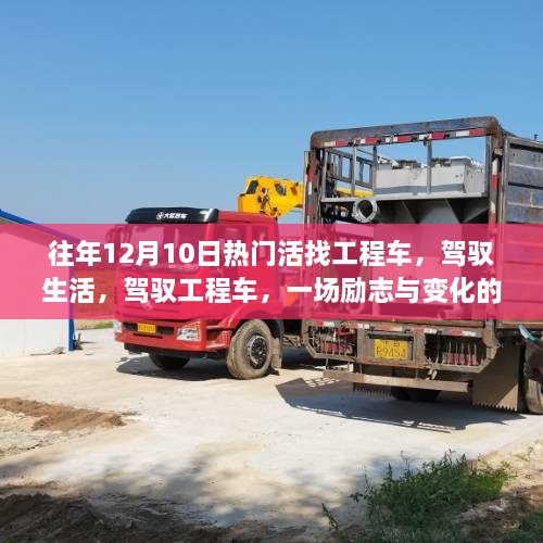 bainiaozhengming 第7页