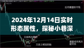 borandanu 第5页