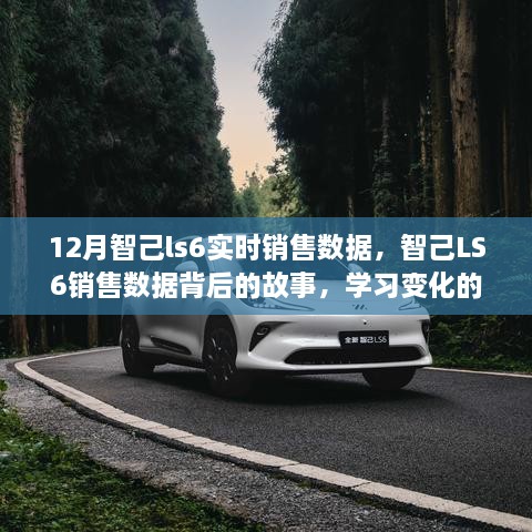 dayajunzi 第6页