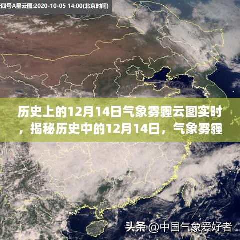 bainiaozhengming 第6页