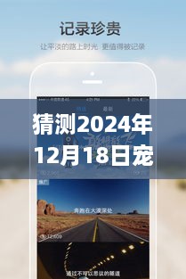 qinqinkenken 第5页