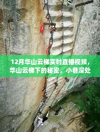 bainiaozhengming 第4页