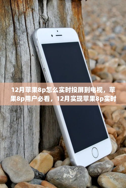 lianlianbushe 第4页