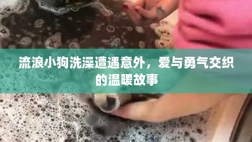 宁静致远 第2页