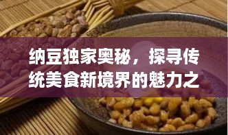 纳豆独家奥秘，探寻传统美食新境界的魅力之旅
