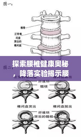 去就之分 第3页