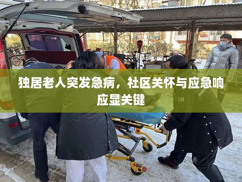 成功案例 第232页