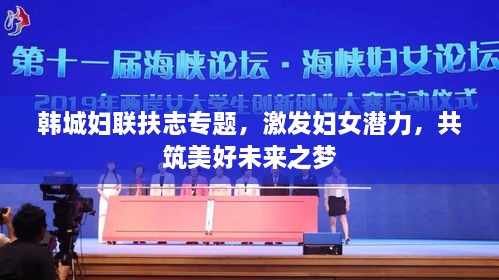 新闻动态 第211页