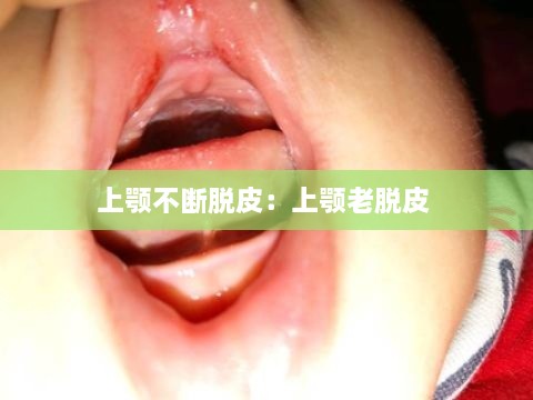产品中心 第214页