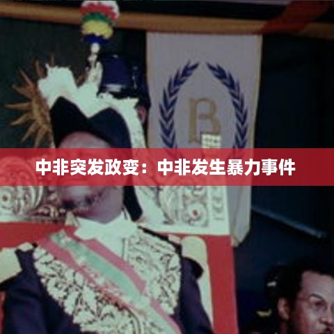 中非突发政变：中非发生暴力事件 