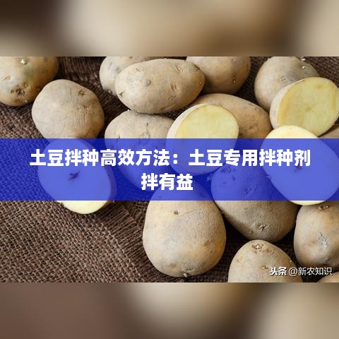 关于我们 第190页