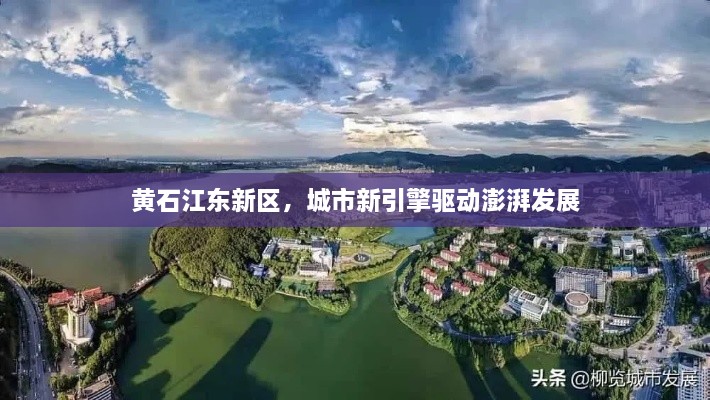 林下风范 第2页