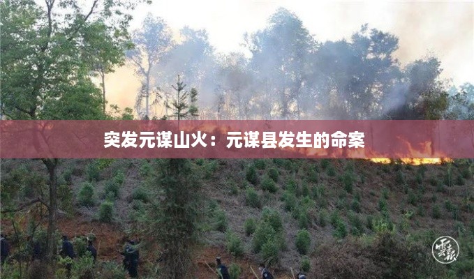 突发元谋山火：元谋县发生的命案 