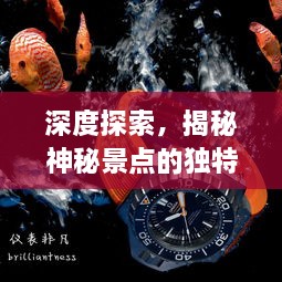 惊弓之鸟 第2页