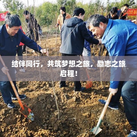 成功案例 第185页