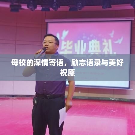 产品中心 第169页
