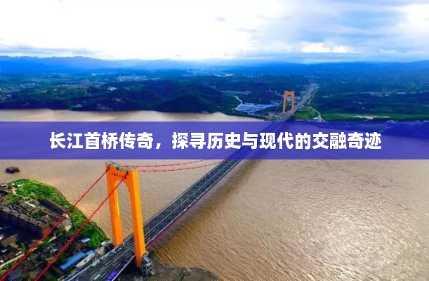 成功案例 第176页