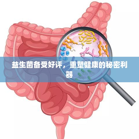联系我们 第169页