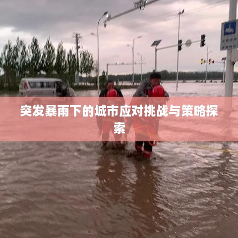 jinxinjieli 第2页