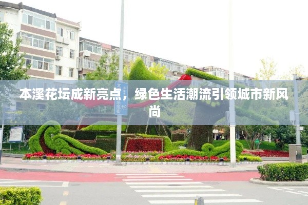 本溪花坛成新亮点，绿色生活潮流引领城市新风尚