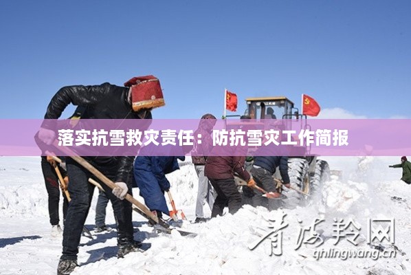 落实抗雪救灾责任：防抗雪灾工作简报 