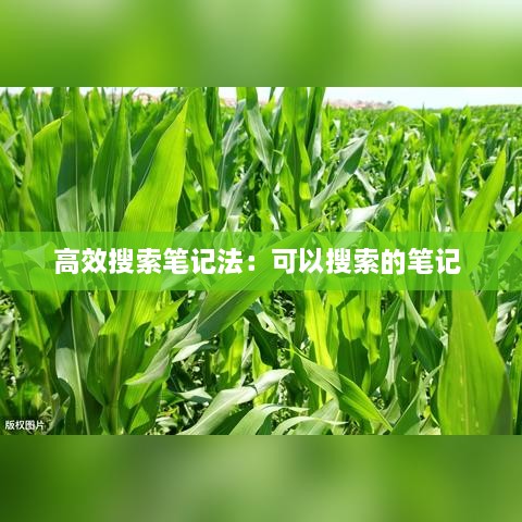 蛾眉曼睩 第2页