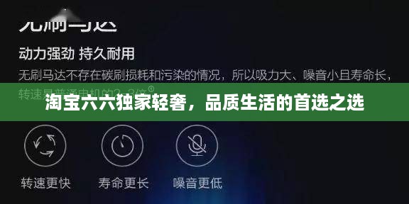 淘宝六六独家轻奢,品质生活的首选之选