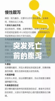 成功案例 第96页