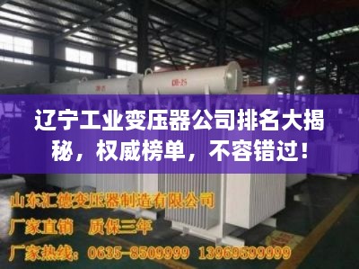 张灯挂彩 第2页