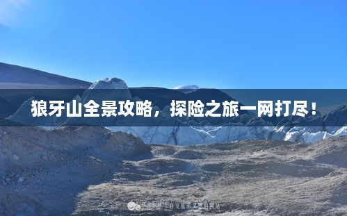 情不自禁 第2页