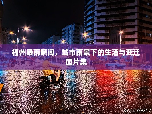 成功案例 第69页