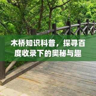 2025年4月 第12页