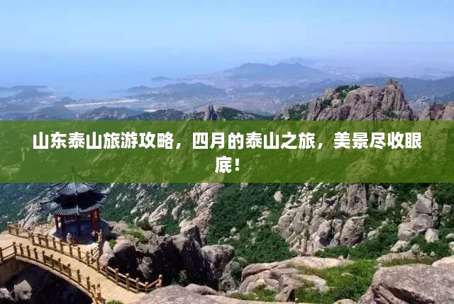 成功案例 第13页