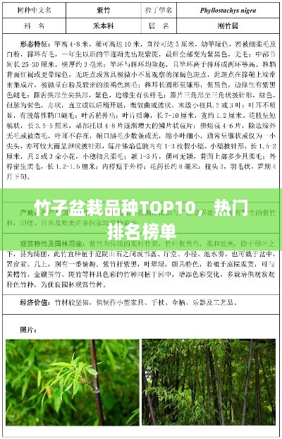 联系我们 第10页
