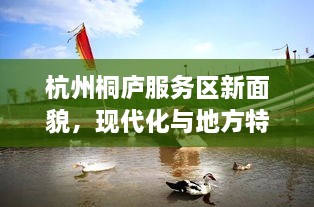 联系我们 第8页