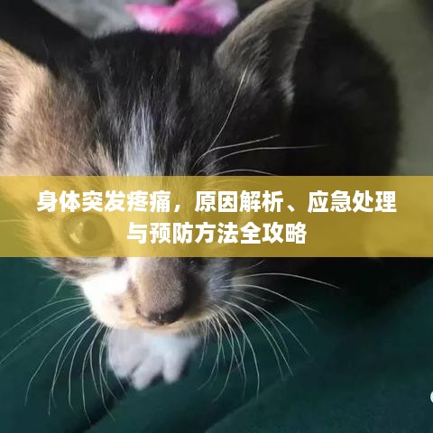 产品中心 第7页